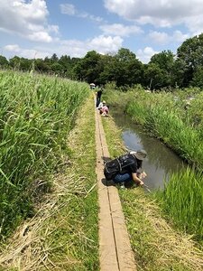 黒浜沼周辺を散策