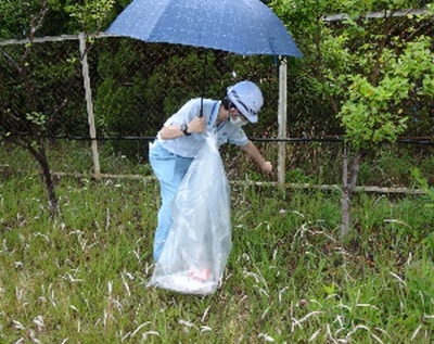 　事業所周辺の清掃活動の紹介画像