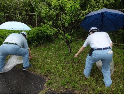 　事業所周辺の清掃活動の紹介画像